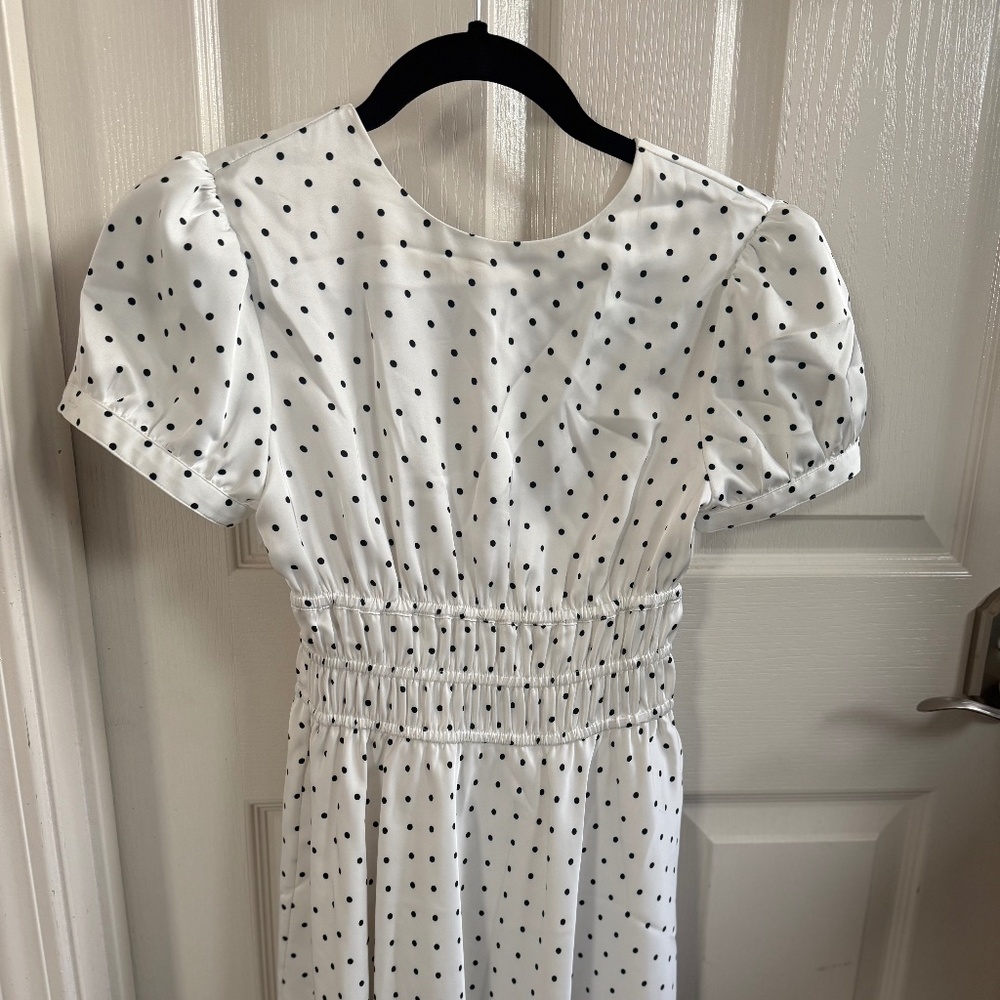 Aritzia Dress